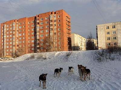 1920 X 1440 712.9 Kb    