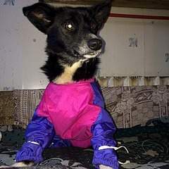 604 X 604 100.1 Kb   -  !