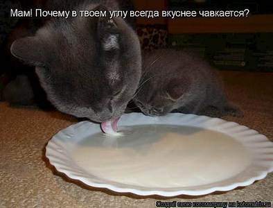 570 X 434  28.0 Kb Улыбнемся?