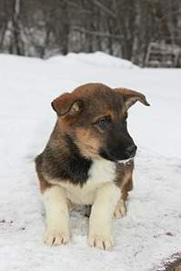 853 X 1280 214.6 Kb 853 X 1280 225.1 Kb    ''.