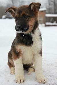 853 X 1280 194.5 Kb 853 X 1280 220.5 Kb 853 X 1280 214.6 Kb 853 X 1280 225.1 Kb    ''.