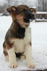 853 X 1280 208.7 Kb 853 X 1280 194.5 Kb 853 X 1280 220.5 Kb 853 X 1280 214.6 Kb 853 X 1280 225.1 Kb    ''.