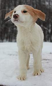 768 X 1280 166.9 Kb 853 X 1280 180.4 Kb 853 X 1280 182.0 Kb    ''.