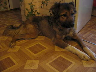 1920 X 1440 796.0 Kb     