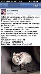 540 X 960 129.9 Kb 1000 X 667 1020.5 Kb 1000 X 667 894.1 Kb    