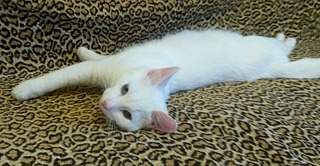 1889 X 980 501.4 Kb 1920 X 1080 420.5 Kb 1248 X 1200 446.4 Kb 1597 X 867 359.4 Kb      