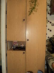 1920 X 2560 1006.0 Kb   ,  