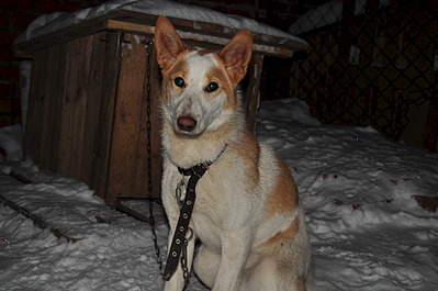 1920 X 1275 486.7 Kb  -   