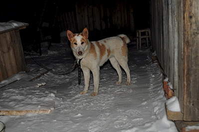 1920 X 1275 445.8 Kb 1920 X 1275 486.7 Kb  -   