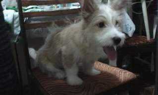 807 X 484 41.9 Kb 484 X 807 48.6 Kb      