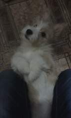 484 X 807 33.4 Kb 807 X 484 41.9 Kb 484 X 807 48.6 Kb      