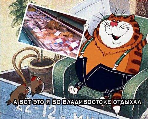 480 x 387      ?        60 