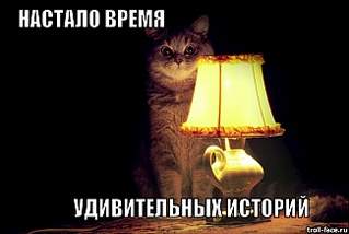 650 X 435 65.7 Kb   