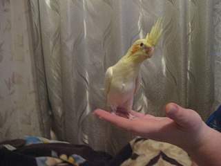 1280 X 960 197.3 Kb 1280 X 960 225.2 Kb   