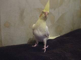 1280 X 960 191.2 Kb 1280 X 960 197.3 Kb 1280 X 960 225.2 Kb   