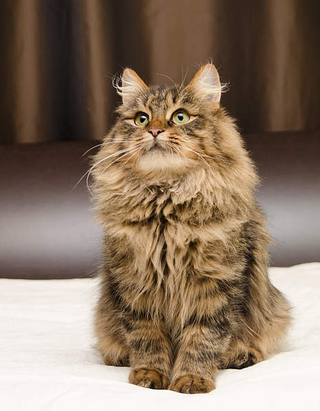 1553 X 2000 294.7 Kb     .  .