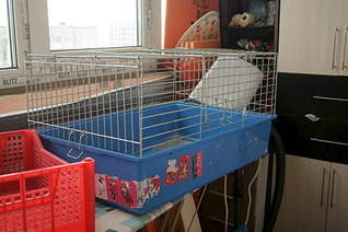 1920 X 1277 503.5 Kb   /  