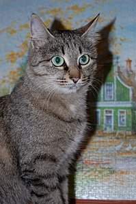 1920 X 2887 807.2 Kb , ,         