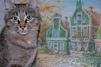 1920 X 1276 646.5 Kb 1920 X 2887 807.2 Kb , ,         