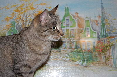 1920 X 1276 603.2 Kb 1920 X 1276 646.5 Kb 1920 X 2887 807.2 Kb , ,         