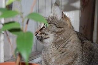 1920 X 1276 501.6 Kb , ,         