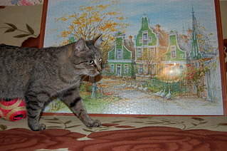 1920 X 1276 655.3 Kb 1920 X 1276 501.6 Kb , ,         