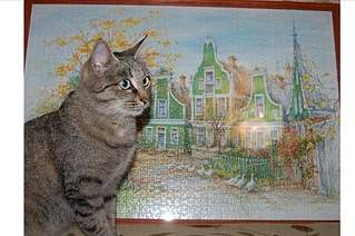 1920 X 1276 618.4 Kb 1920 X 1276 655.3 Kb 1920 X 1276 501.6 Kb , ,         