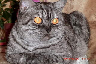 1920 X 1280 657.1 Kb  