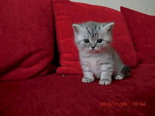 1920 X 1440 396.8 Kb 1920 X 1440 543.2 Kb 1920 X 1280 657.1 Kb  