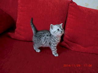 1920 X 1440 375.5 Kb 1920 X 1440 402.3 Kb 1920 X 1440 396.8 Kb 1920 X 1440 543.2 Kb 1920 X 1280 657.1 Kb  