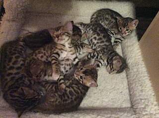 1280 X 956 253.4 Kb 765 X 1024 162.9 Kb 