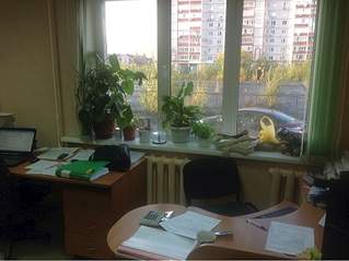 1024 X 765 245.9 Kb 1024 X 765 191.1 Kb Чистая продажа. Срочно.