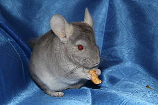 1920 X 1280 198.1 Kb 1920 X 1280 216.7 Kb 