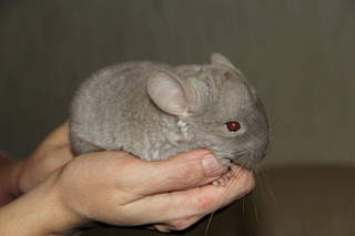 1920 X 1280 818.2 Kb 1920 X 1280 198.1 Kb 1920 X 1280 216.7 Kb 