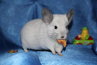 1920 X 1280 975.7 Kb 1920 X 1280 818.2 Kb 1920 X 1280 198.1 Kb 1920 X 1280 216.7 Kb 