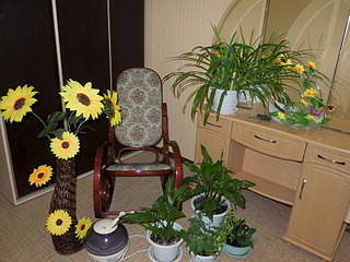 1920 X 1440 798.4 Kb  