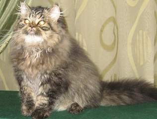 503 X 382  87.9 Kb   .