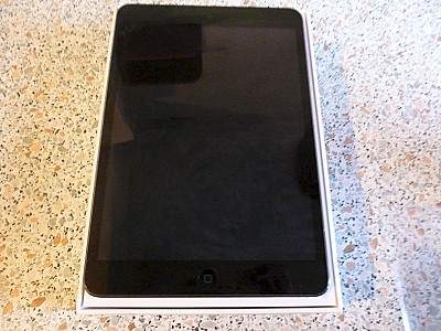 800 X 600 124.0 Kb  IPad mini 2 with Retina wifi cell