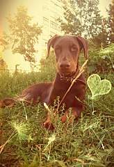 656 X 960 227.8 Kb 960 X 960 201.4 Kb 960 X 720 160.7 Kb  