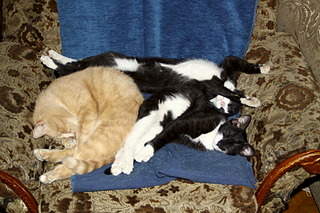 1920 X 1280 688.7 Kb 1920 X 1280 357.5 Kb  - 