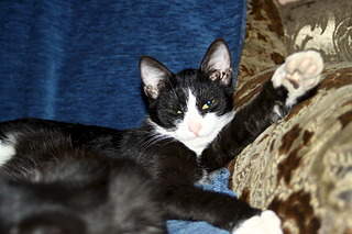 1920 X 1280 438.3 Kb 1920 X 1280 574.4 Kb 1920 X 1280 688.7 Kb 1920 X 1280 357.5 Kb  - 