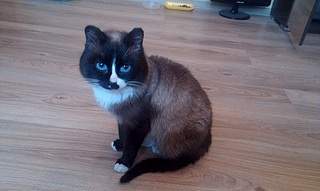 1024 X 612 213.7 Kb  - 