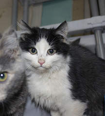 710 X 787 369.1 Kb  - 