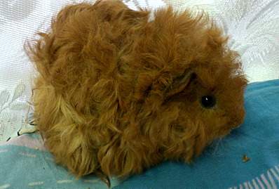 1667 X 1125 451.4 Kb 1647 X 1125 526.8 Kb    - 