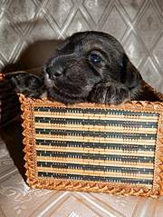 453 X 604 95.9 Kb 604 X 453 59.3 Kb  