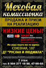399 X 584 364.9 Kb  ,   