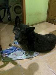 1920 X 2560 855.1 Kb sos sos sos        