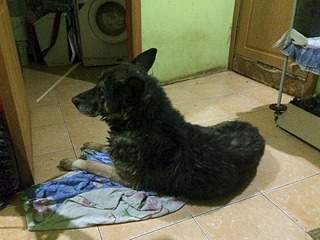 1920 X 1440 607.0 Kb 1920 X 2560 855.1 Kb sos sos sos        