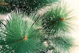 604 X 403 82.1 Kb 200 X 451 24.3 Kb   .  !