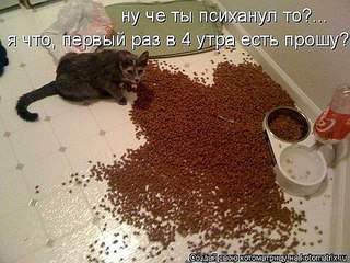 1208 X 906 229.8 Kb Улыбнемся?